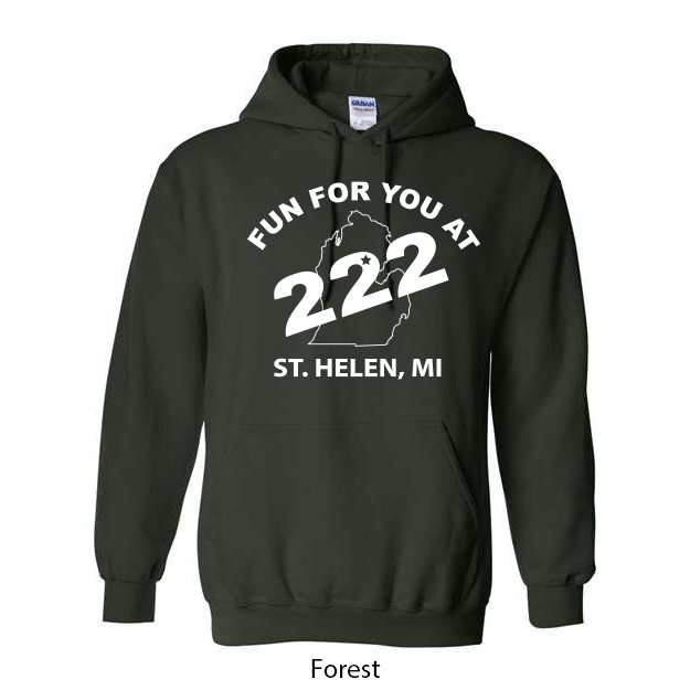 Fun For You 222 Hoodie - Image 4